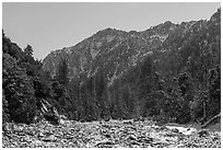 Mill Creek floodplain and Yucaipa Ridge in winter. Sand to Snow National Monument, California, USA ( black and white)