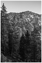 Galena Peak from San Gorgonio Mountain at sunset. Sand to Snow National Monument, California, USA ( black and white)