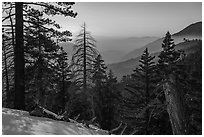 Looking down Valley of the Falls, winter sunset. Sand to Snow National Monument, California, USA ( black and white)