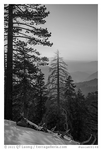 Winter sunset from San Gorgonio Mountain. Sand to Snow National Monument, California, USA (black and white)