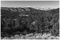 San Gorgonio range from the north in winter. Sand to Snow National Monument, California, USA ( black and white)