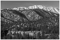 San Gorgonio Mountain rising above meadow and foothills in winter. Sand to Snow National Monument, California, USA ( black and white)