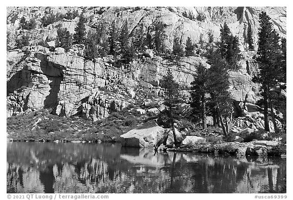 Cliffs and trees reflected in Mirror Lake, Inyo National Forest. California, USA