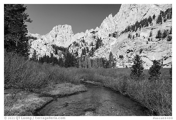 Meadow below Outpost Camp, Inyo National Forest. California, USA (black and white)