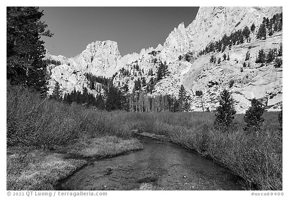 Meadow below Outpost Camp, Inyo National Forest. California, USA