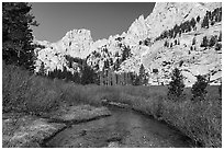 Meadow below Outpost Camp, Inyo National Forest. California, USA ( black and white)