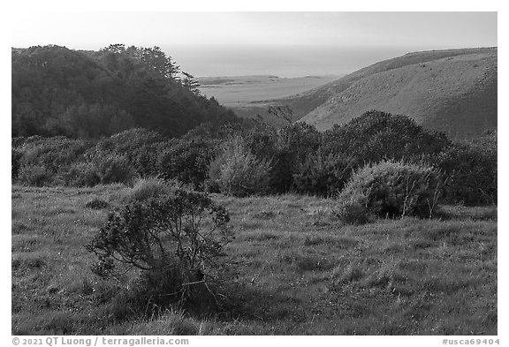 Coastal grasslands looking towards the Pacific Ocean. Cotoni-Coast Dairies Unit, California Coastal National Monument, California, USA