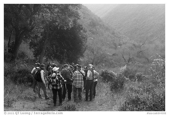 Group in canyon during ranger-led hike. Cotoni-Coast Dairies Unit, California Coastal National Monument, California, USA (black and white)
