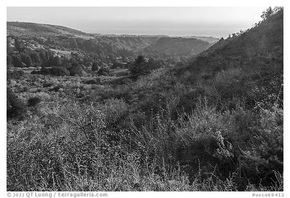 Mix of grasslands, scrublands, woodlands, and forests on hillside slopes. Cotoni-Coast Dairies Unit, California Coastal National Monument, California, USA