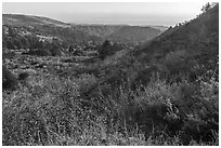Mix of grasslands, scrublands, woodlands, and forests on hillside slopes. Cotoni-Coast Dairies Unit, California Coastal National Monument, California, USA ( black and white)