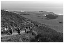 Group hiking above grassy marine coastal terrace. Cotoni-Coast Dairies Unit, California Coastal National Monument, California, USA ( black and white)