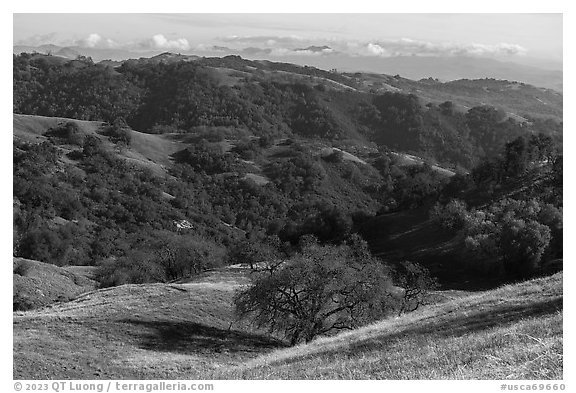 Hills, Middle Steer Ridge, Henry Coe State Park. California, USA