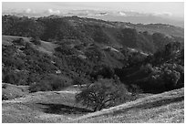 Hills, Middle Steer Ridge, Henry Coe State Park. California, USA ( black and white)
