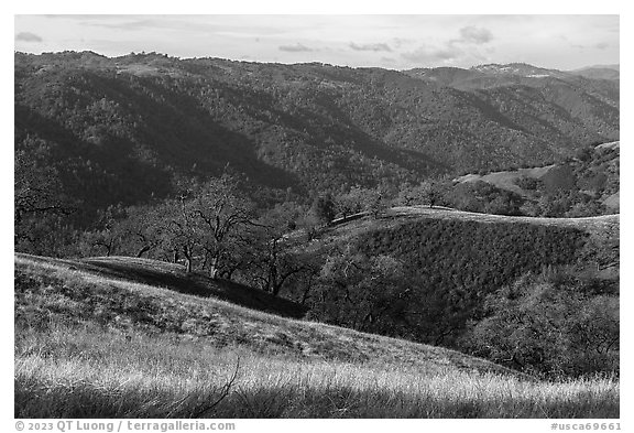 View from Steer Ridge, Henry Coe State Park. California, USA (black and white)