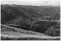 View from Steer Ridge, Henry Coe State Park. California, USA ( black and white)