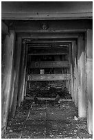 San Cristobal Mine tunnel, Almaden Quicksilver County Park. San Jose, California, USA ( black and white)