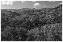 Hillsides in spring with Almaden Quicksilver Chimney, Almaden Quicksilver County Park. San Jose, California, USA ( black and white)