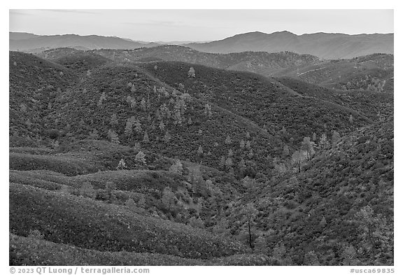 Shrub-covered hills from Condor Ridge. Berryessa Snow Mountain National Monument, California, USA (black and white)