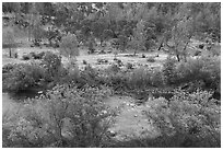 Cache Creek Canyon Regional Park. Berryessa Snow Mountain National Monument, California, USA ( black and white)