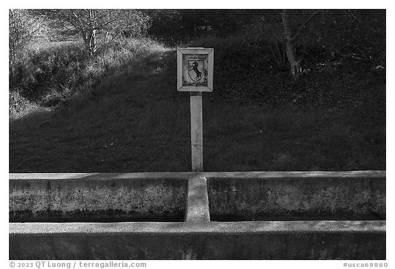 Signed cavalry horse water trough. California, USA (black and white)