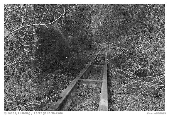 Abandonned horse water trough. California, USA (black and white)