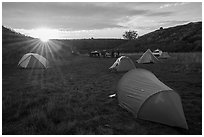 Sun setting over Coast Campground. Point Reyes National Seashore, California, USA ( black and white)