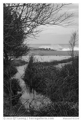Stream and surf. Point Reyes National Seashore, California, USA (black and white)