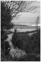 Stream and surf. Point Reyes National Seashore, California, USA ( black and white)