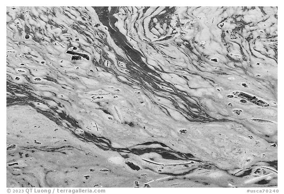 Pond surface detail. Point Reyes National Seashore, California, USA (black and white)