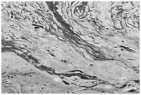 Pond surface detail. Point Reyes National Seashore, California, USA ( black and white)