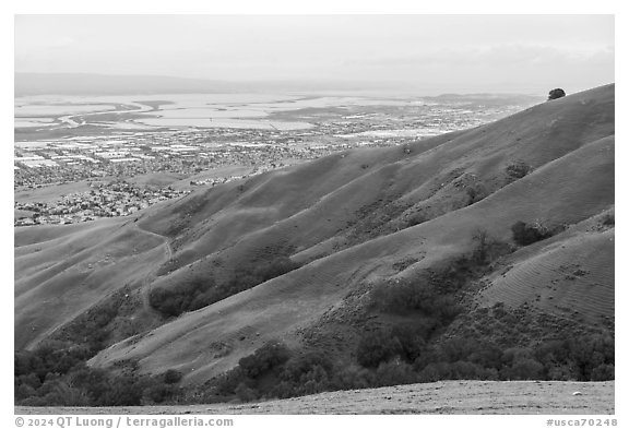 Fremont and San Francisco Bay from Monument Peak, Ed Levin County Park. California, USA