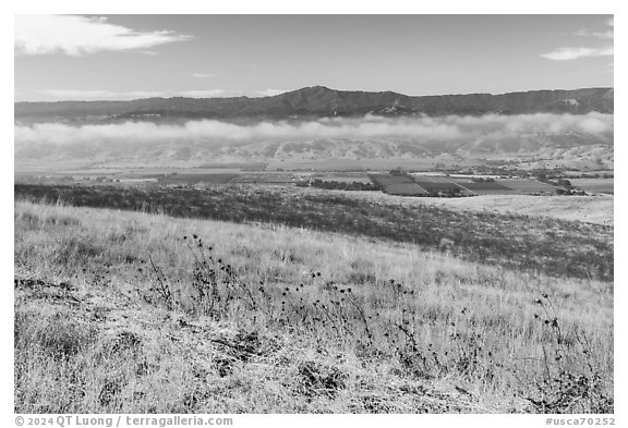 South Coyote Valley agricultural lands from Coyote Ridge Open Space Preserve. California, USA (black and white)