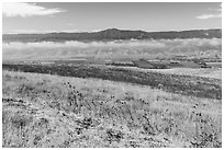 South Coyote Valley agricultural lands from Coyote Ridge Open Space Preserve. California, USA ( black and white)