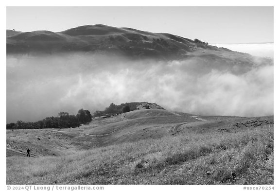 Hiker on hills above low fog in Alum Rock Canyon, Sierra Vista Open Space Preserve. San Jose, California, USA