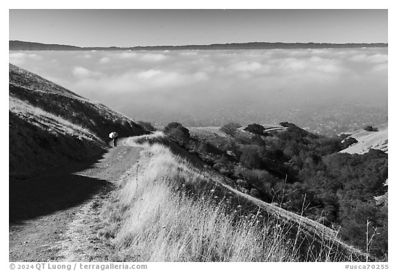 Hiker on trail above low fog in Silicon Valley, Sierra Vista Open Space Preserve. San Jose, California, USA