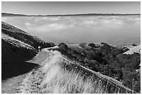 Hiker on trail above low fog in Silicon Valley, Sierra Vista Open Space Preserve. San Jose, California, USA ( black and white)