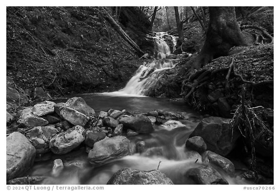 Upper Falls, Uvas Canyon County Park. California, USA (black and white)