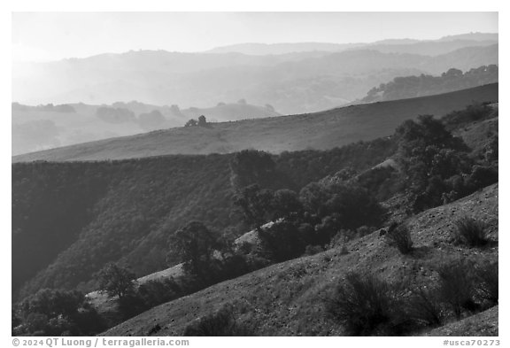 Ridges, Santa Teresa County Park. California, USA (black and white)
