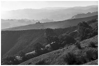 Ridges, Santa Teresa County Park. California, USA ( black and white)