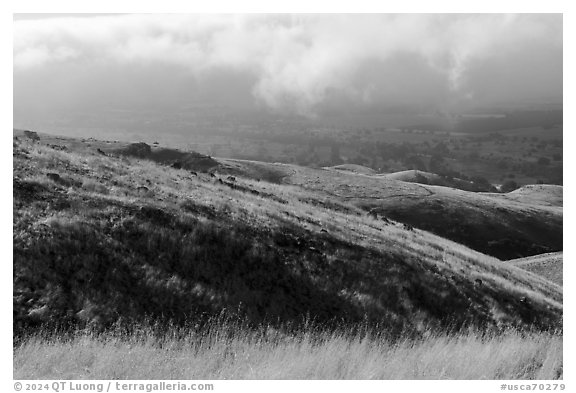 Grassy hills, Coyote Ridge Open Space Preserve. California, USA (black and white)