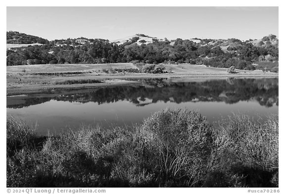 Grant Lake in summer, Joseph Grant County Park. San Jose, California, USA (black and white)