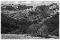 Hills in autumn, Joseph Grant County Park. San Jose, California, USA ( black and white)