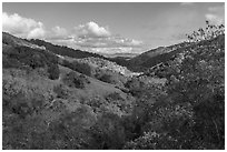 Valley in early winter, Canada del Oro Open Space Preserve. California, USA ( black and white)