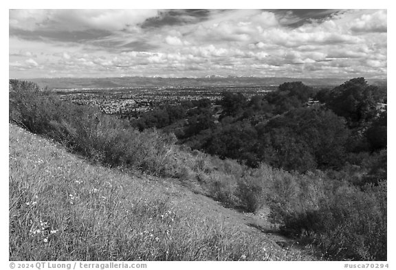 Wildflowers, Silicon Valley, and snowy hills, Fremont Older Preserve. California, USA