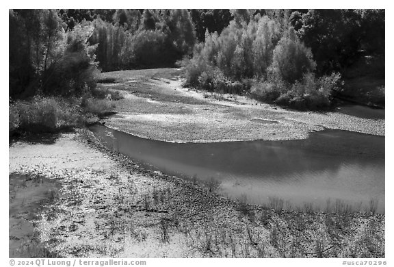 Stevens Creek in autumn, Stevens Creek County Park. California, USA (black and white)