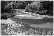 Stevens Creek in autumn, Stevens Creek County Park. California, USA ( black and white)