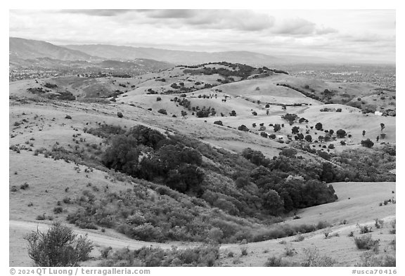 View from Coyote Peak, Santa Teresa County Park. California, USA (black and white)