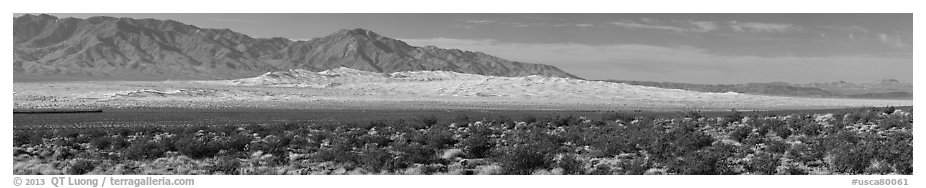 Vast Kelso Sand Dune field. Mojave National Preserve, California, USA (black and white)