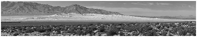 Vast Kelso Sand Dune field. Mojave National Preserve, California, USA (black and white)