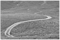 Curving unpaved road, hills W of the Preserve. Antelope Valley, California, USA (black and white)